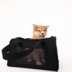 The Pet Carrier in Black