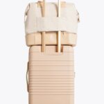Resale The Mini Weekender in Beige