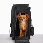 Resale The Regulation Pet Carry-on in Black