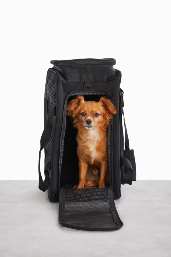 Resale The Regulation Pet Carry-on in Black - Image 7