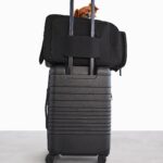 Resale The Regulation Pet Carry-on in Black